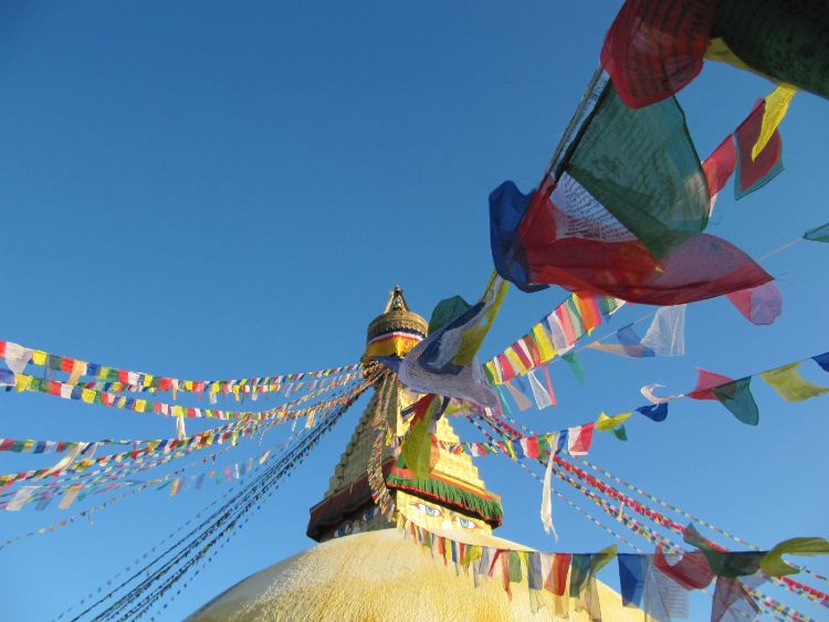 De praktijk Ikigai acupunctuur te Vinkel